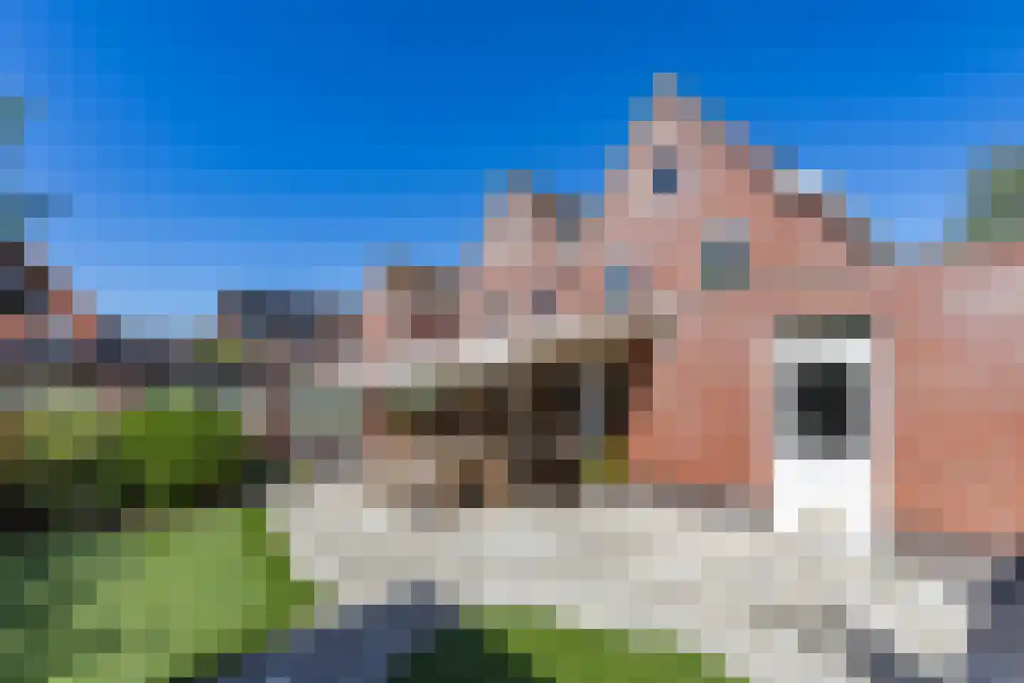 Oude Trambaan 19 A Esbeek thumbnail 34