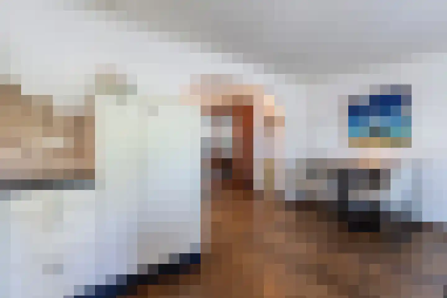Oude Trambaan 19 A Esbeek thumbnail 6