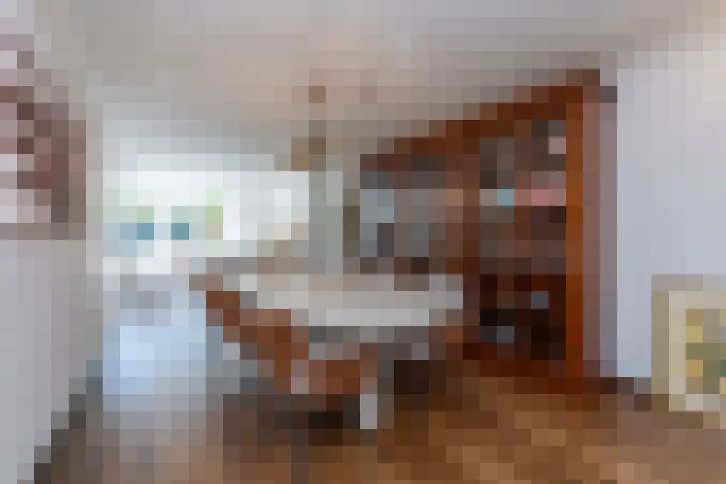 Oude Trambaan 19 A Esbeek thumbnail 7
