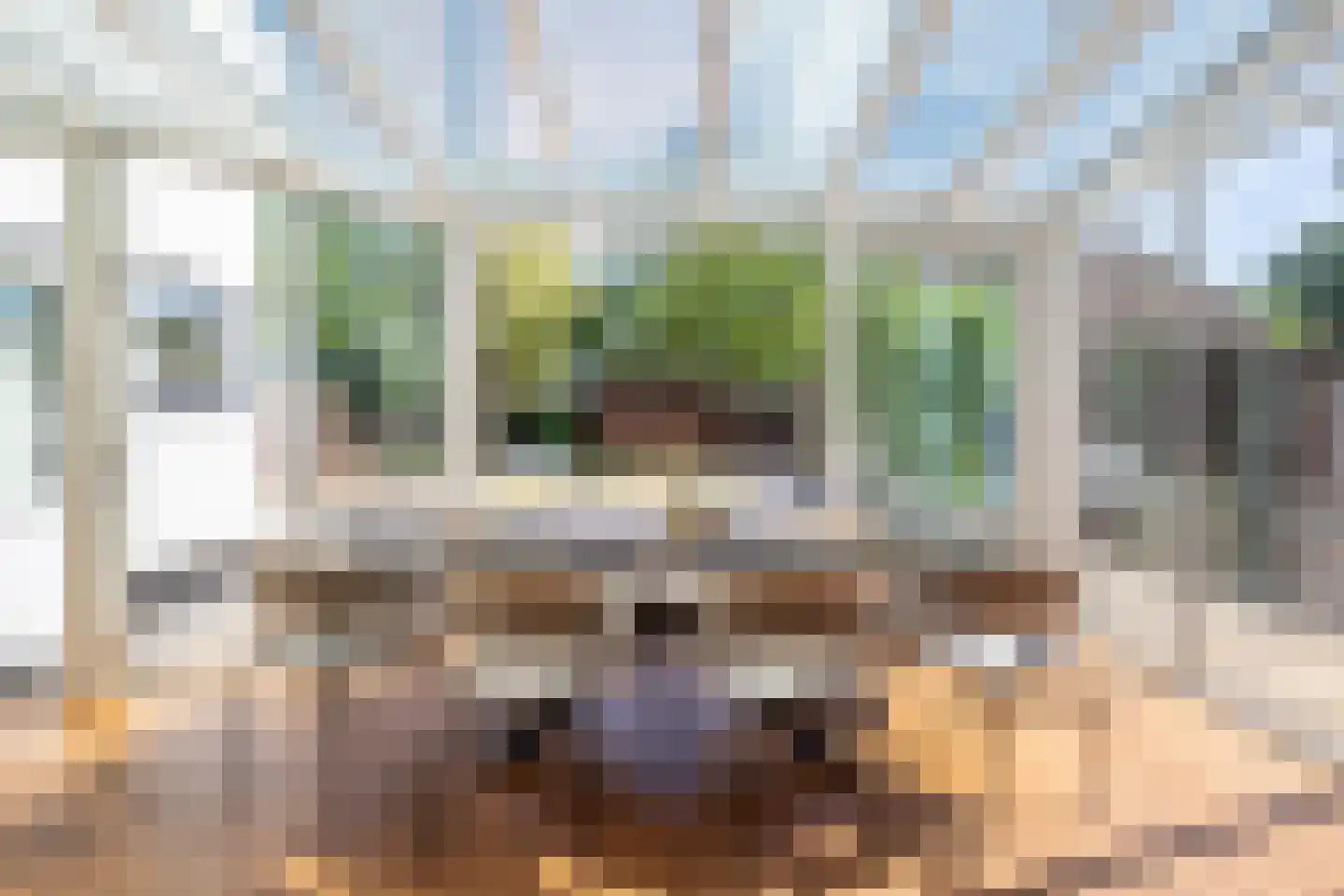 Oude Trambaan 22 Thorn thumbnail 14
