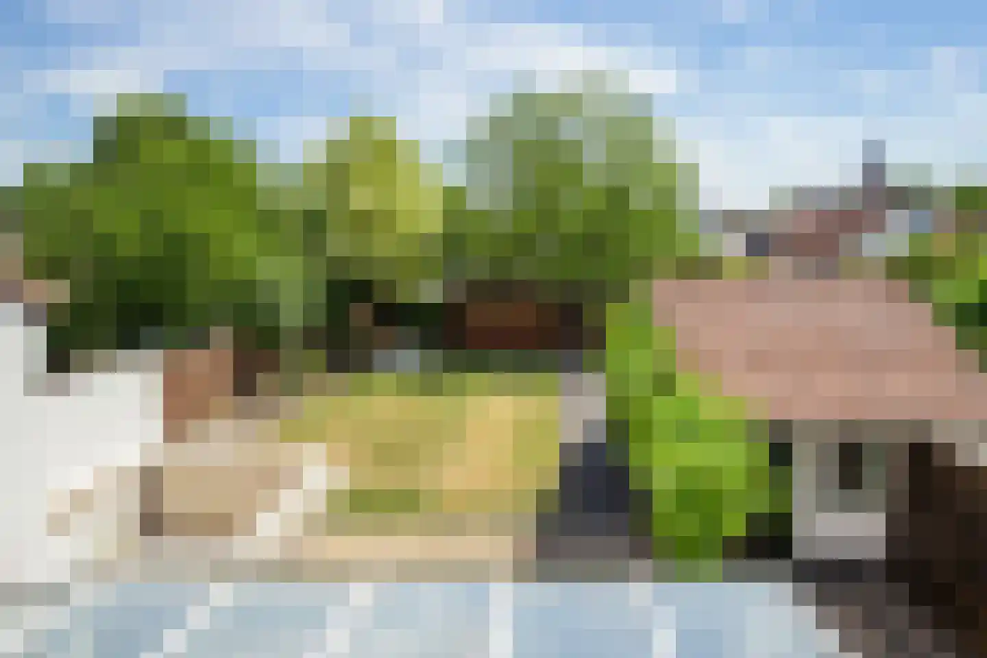 Oude Trambaan 22 Thorn thumbnail 29