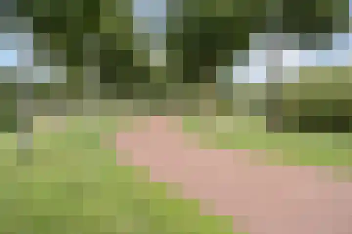 Oude Trambaan 23 Barendrecht thumbnail 5