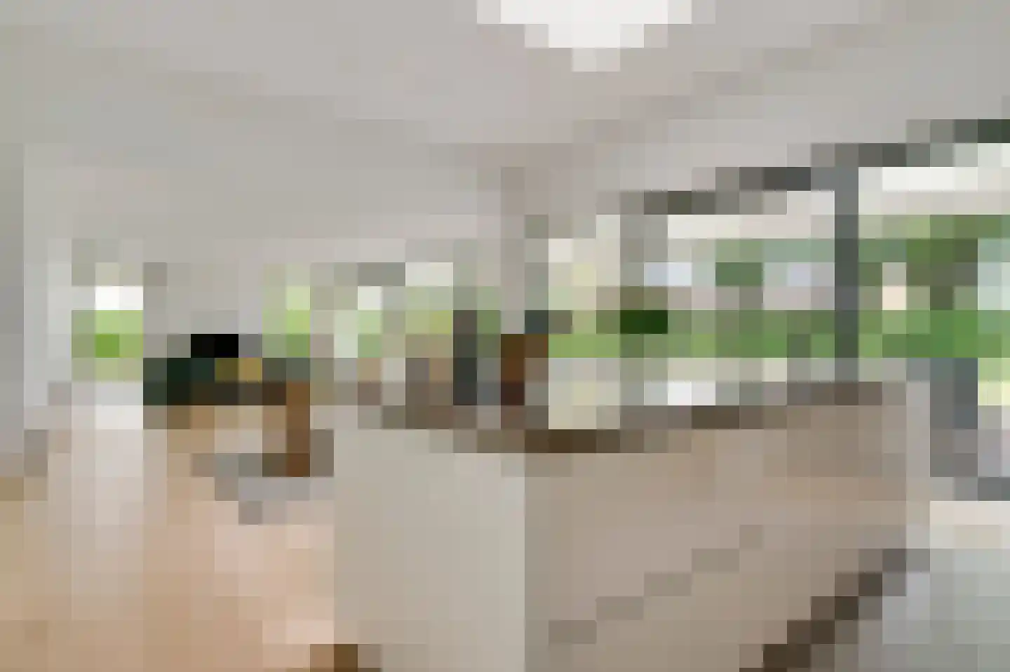 Oude Trambaan 42 Heythuysen thumbnail 13