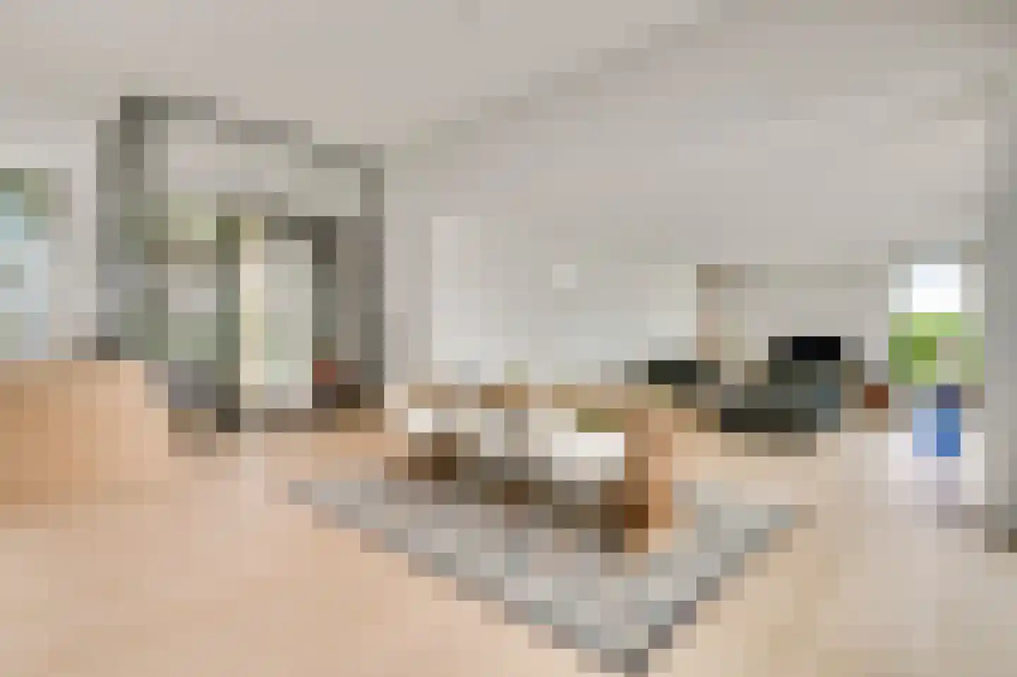Oude Trambaan 42 Heythuysen thumbnail 5