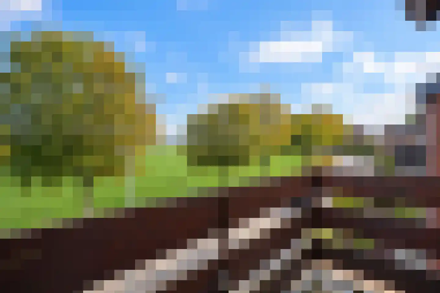 Oude Trichterweg 32 Vijlen thumbnail 15