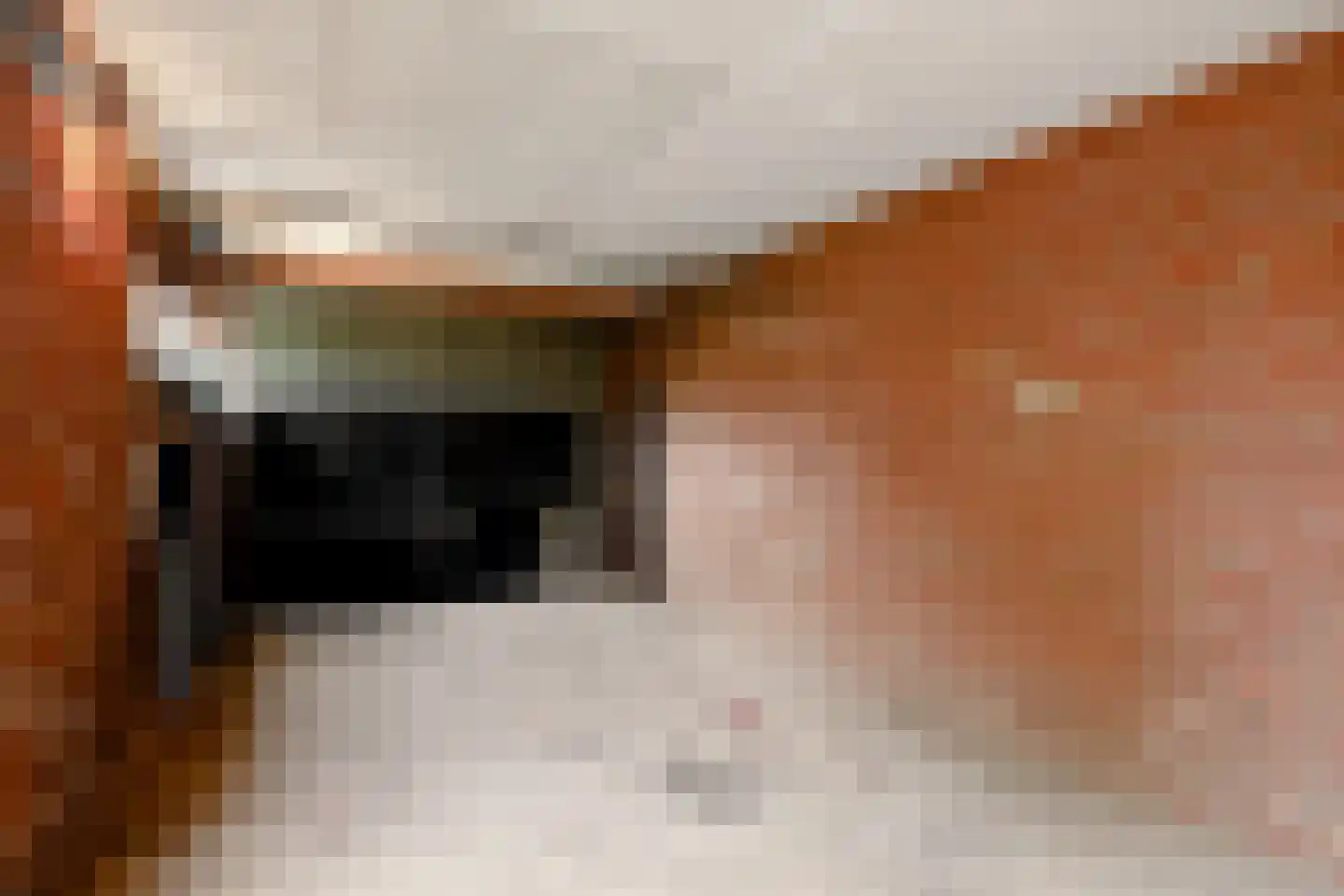 Oude Trichterweg 32 Vijlen thumbnail 25