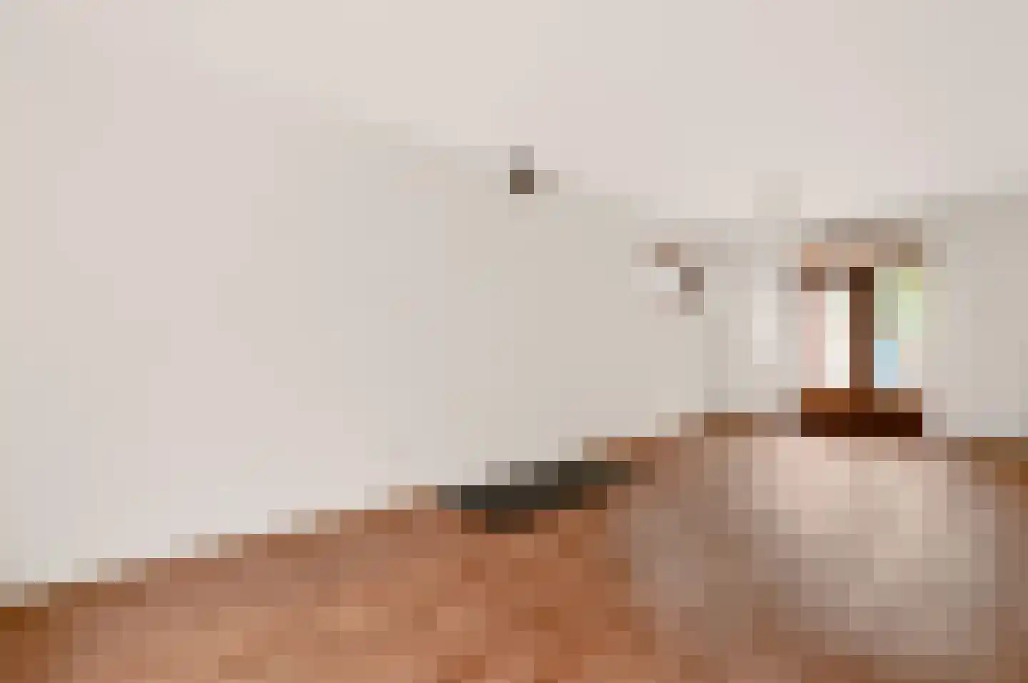 Oude Trichterweg 32 Vijlen thumbnail 7