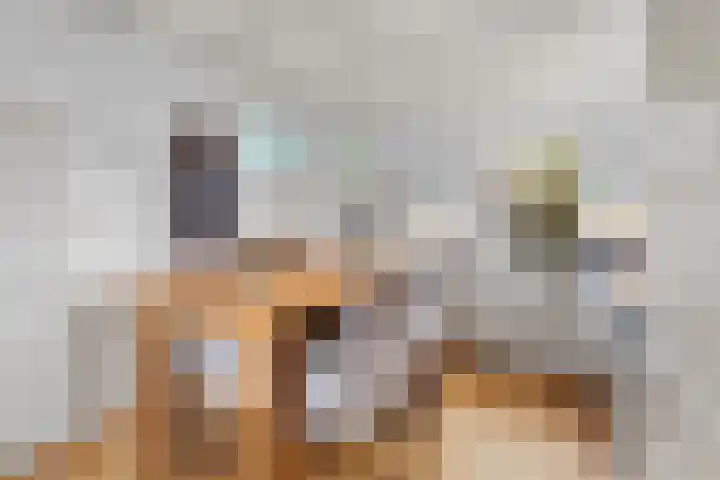 Oude Turfvaartsestraat 25 Nispen thumbnail 13