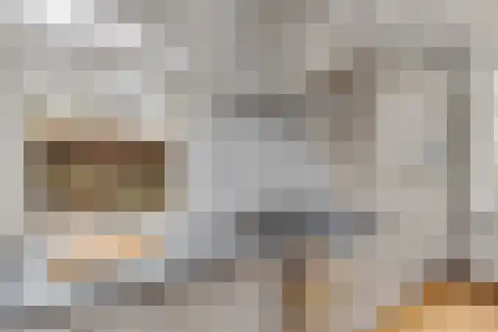 Oude Turfvaartsestraat 25 Nispen thumbnail 15