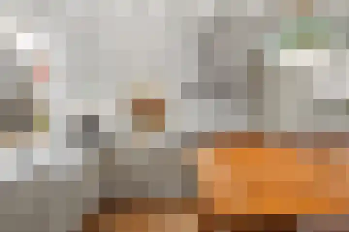 Oude Turfvaartsestraat 25 Nispen thumbnail 16