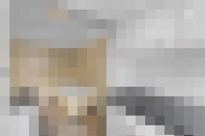 Oude Turfvaartsestraat 25 Nispen thumbnail 20