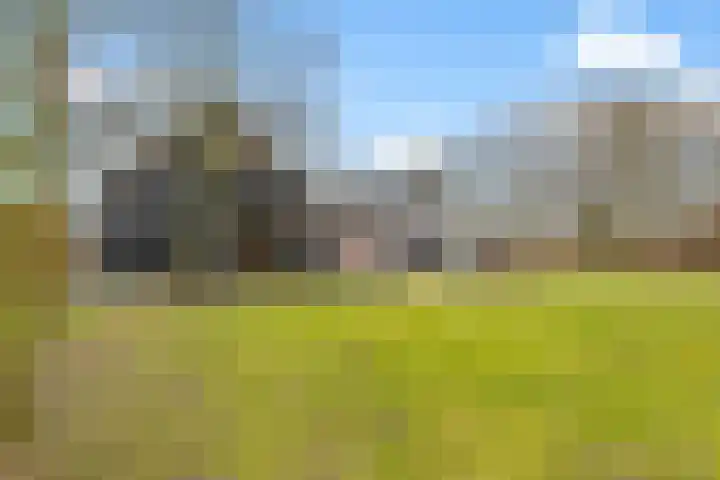Oude Turfvaartsestraat 25 Nispen thumbnail 42