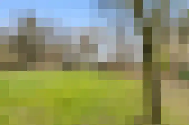 Oude Turfvaartsestraat 25 Nispen thumbnail 43