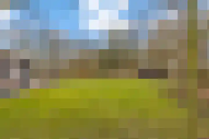 Oude Turfvaartsestraat 25 Nispen thumbnail 44