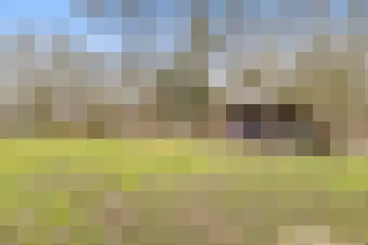 Oude Turfvaartsestraat 25 Nispen thumbnail 47