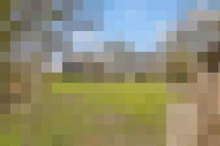 Oude Turfvaartsestraat 25 Nispen thumbnail 48