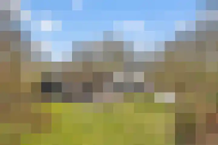 Oude Turfvaartsestraat 25 Nispen thumbnail 51