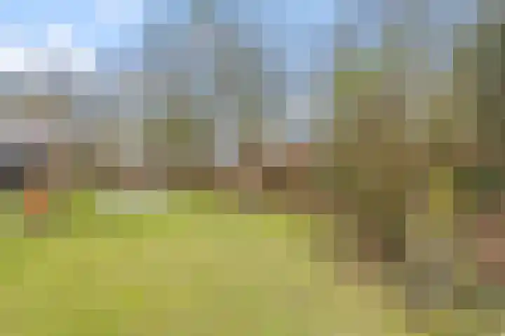 Oude Turfvaartsestraat 25 Nispen thumbnail 52