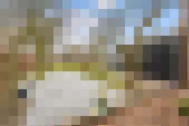 Oude Turfvaartsestraat 25 Nispen thumbnail 54