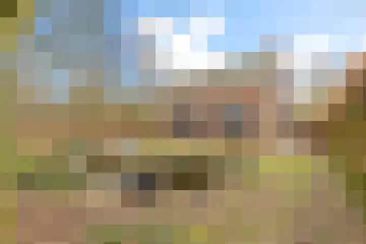 Oude Turfvaartsestraat 25 Nispen thumbnail 67