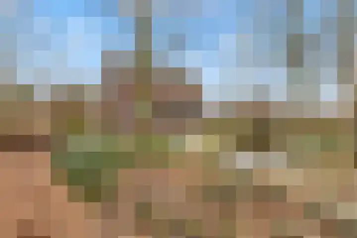 Oude Turfvaartsestraat 25 Nispen thumbnail 69