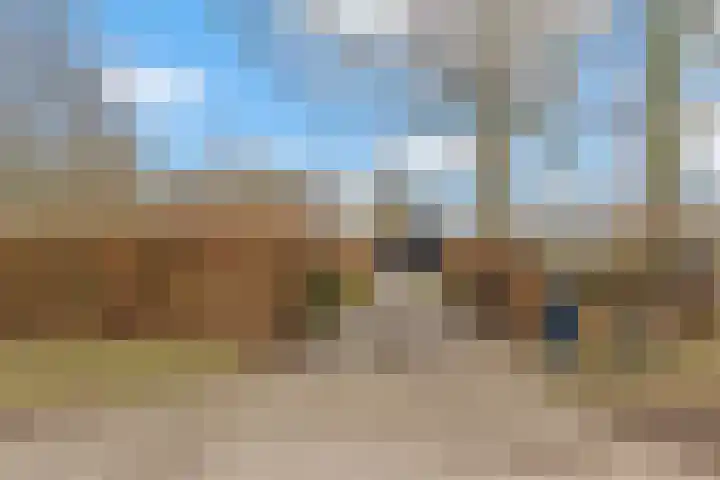 Oude Turfvaartsestraat 25 Nispen thumbnail 71