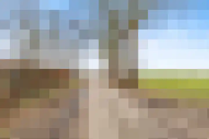 Oude Turfvaartsestraat 25 Nispen thumbnail 74