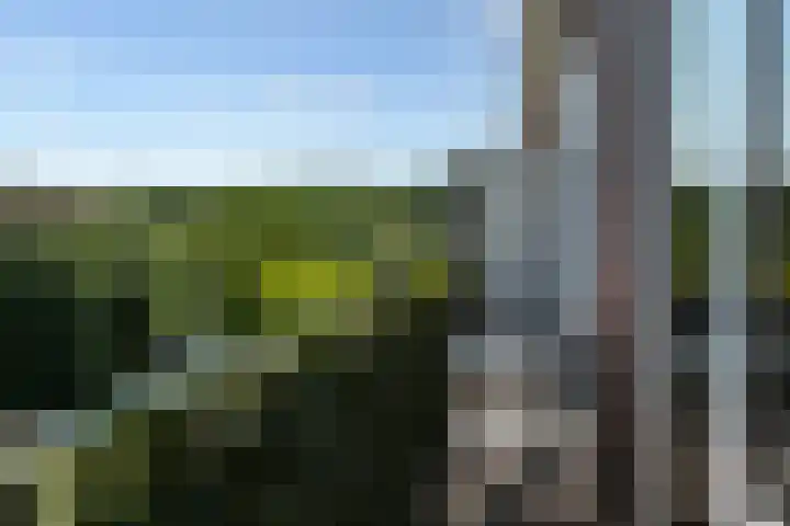 Oude Uelserdijk 6 Mander thumbnail 18