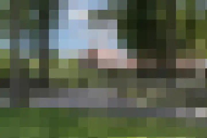 Oude Uelserdijk 6 Mander foto 2