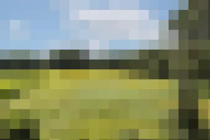 Oude Uelserdijk 6 Mander thumbnail 24