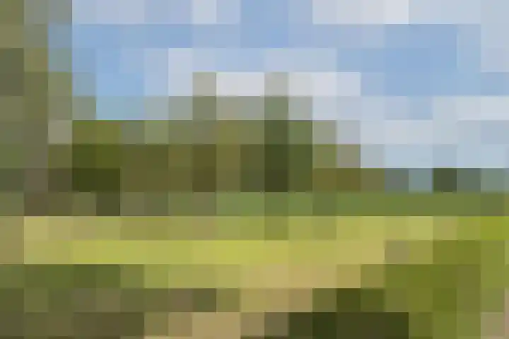 Oude Uelserdijk 6 Mander thumbnail 31