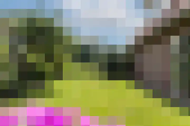 Oude Uelserdijk 6 Mander thumbnail 33