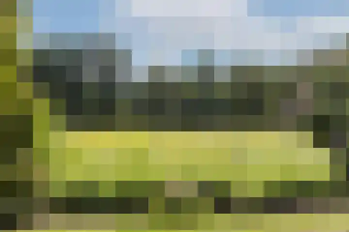 Oude Uelserdijk 6 Mander thumbnail 34