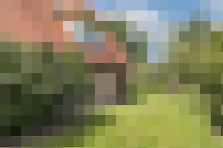 Oude Uelserdijk 6 Mander thumbnail 35