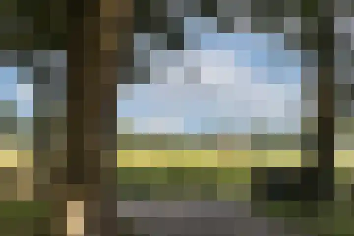 Oude Uelserdijk 6 Mander thumbnail 40