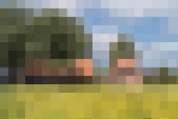 Oude Uelserdijk 6 Mander thumbnail 44