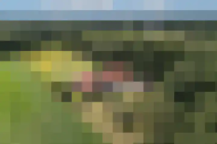 Oude Uelserdijk 6 Mander thumbnail 45