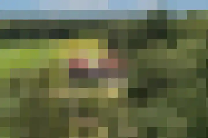 Oude Uelserdijk 6 Mander thumbnail 46