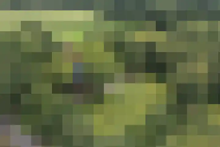 Oude Uelserdijk 6 Mander thumbnail 47