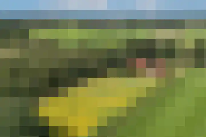 Oude Uelserdijk 6 Mander thumbnail 48