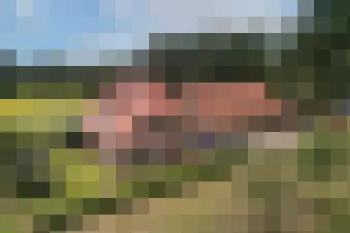 Oude Uelserdijk 6 Mander thumbnail 50