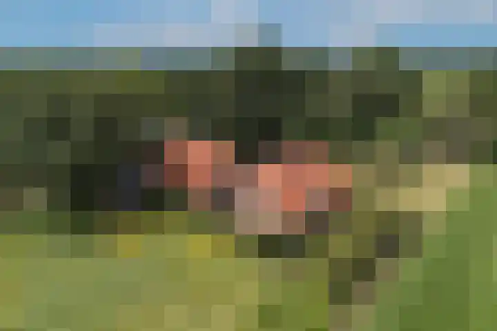 Oude Uelserdijk 6 Mander thumbnail 56