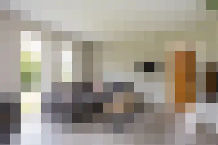 Oude Uelserdijk 6 Mander thumbnail 7