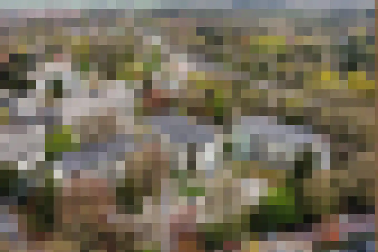 Oude Utrechtseweg 141 Baarn thumbnail 22