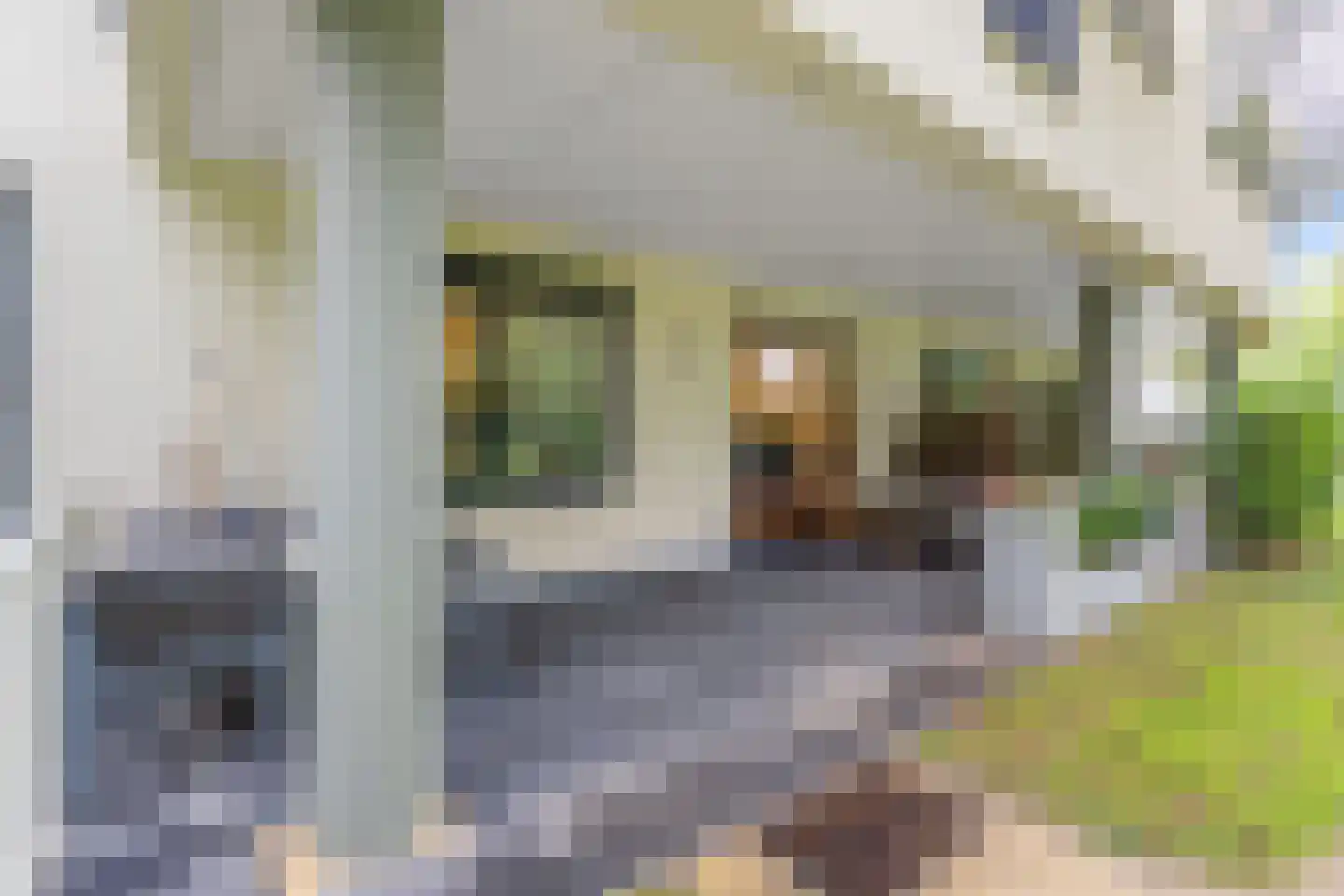Oude Utrechtseweg 147 Baarn thumbnail 17