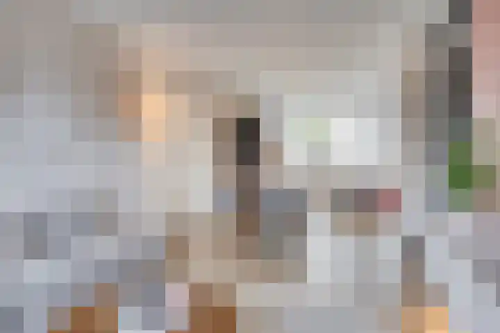 Oude Vaart 12 Terneuzen thumbnail 10