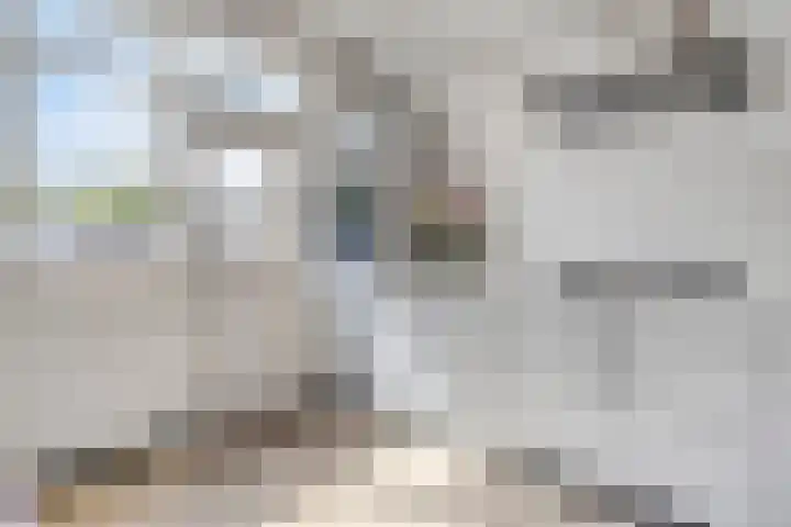 Oude Vaart 12 Terneuzen thumbnail 17