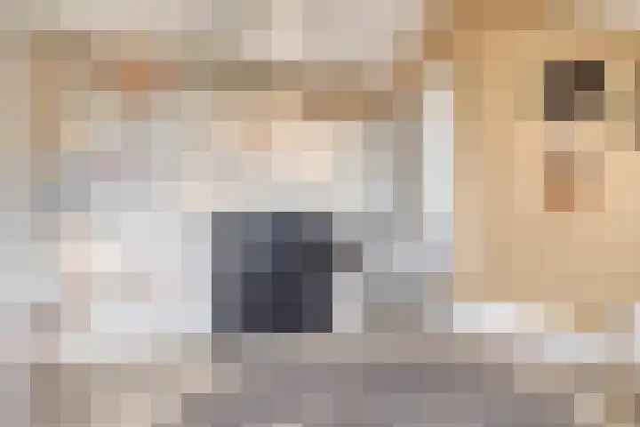 Oude Vaart 12 Terneuzen thumbnail 30