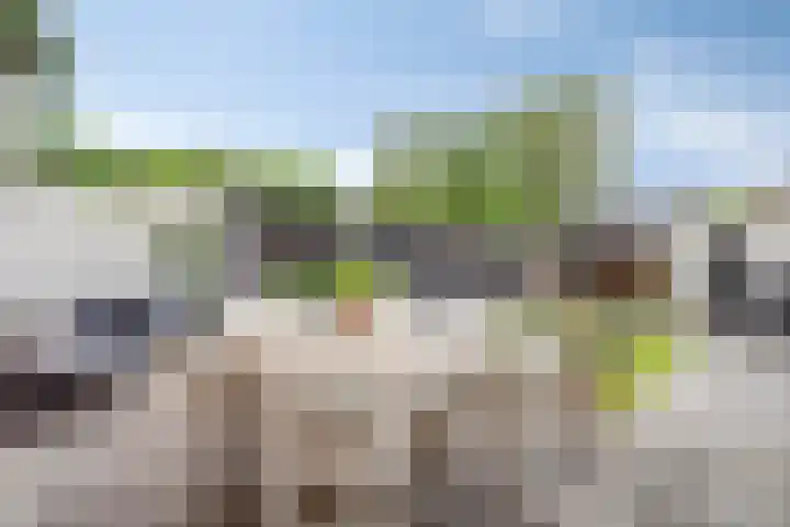 Oude Vaart 12 Terneuzen thumbnail 31