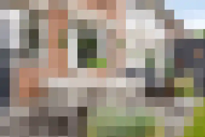 Oude Vaart 12 Terneuzen thumbnail 32